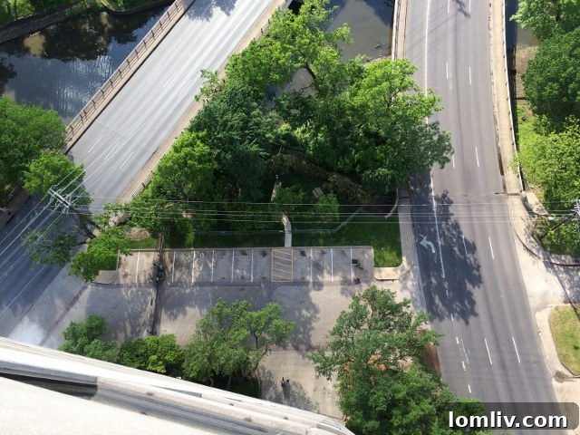 Claridge Dog Park - Luxury High-Rise Amenities on Turtle Creek