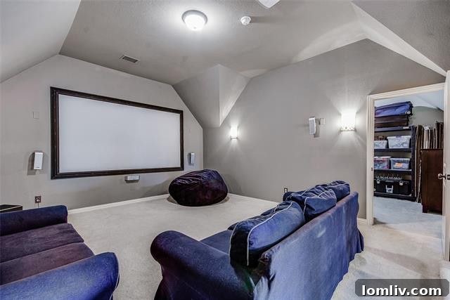 Second-floor media room in Frisco with extensive built-in storage closet