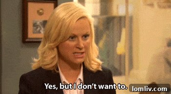 Interior view of the castle-themed living room with oak beams and fireplace