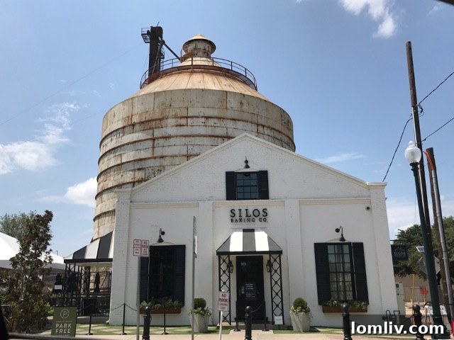 Dallas architecture blending historic charm with modern development, a film magnet
