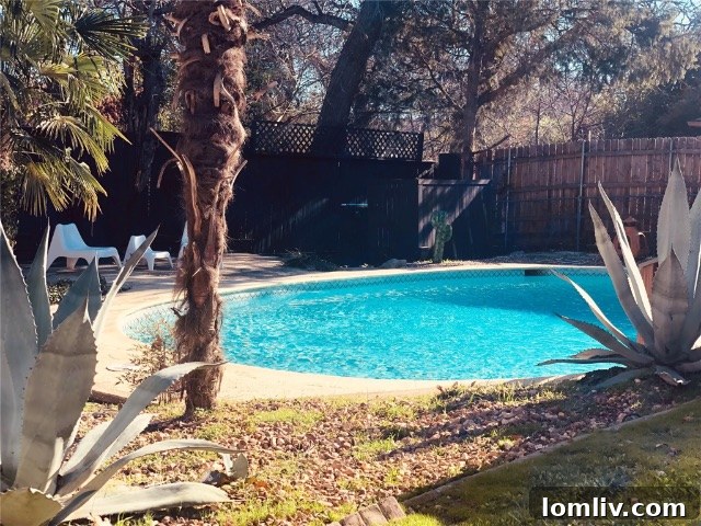 Elegant Living Room with Mid-Century Modern Furnishings