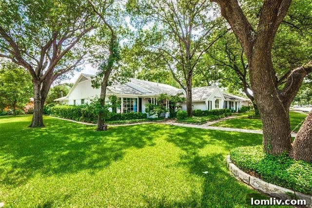 Mockingbird Lane's Captivating Gem: Gone Before You Know It 2 b3c23e51fde82adfc27d72f5a4e51a7fl-m3574250929xd-w1020_h770_q80