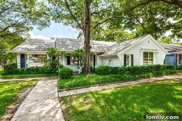 Mockingbird Lane's Captivating Gem: Gone Before You Know It 4 b3c23e51fde82adfc27d72f5a4e51a7fl-m3574250929xd-w1020_h770_q80