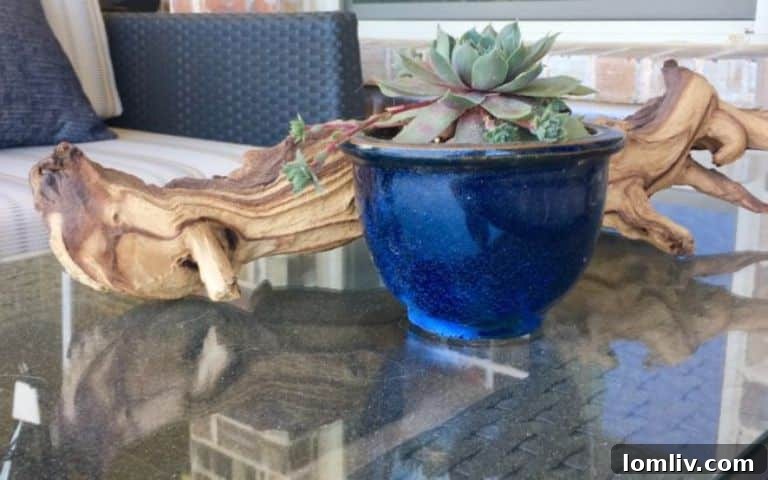 ML Interiors: Crafting Your Outdoor Oasis 6 Outdoor accessories including plants, pillows, and decorative elements