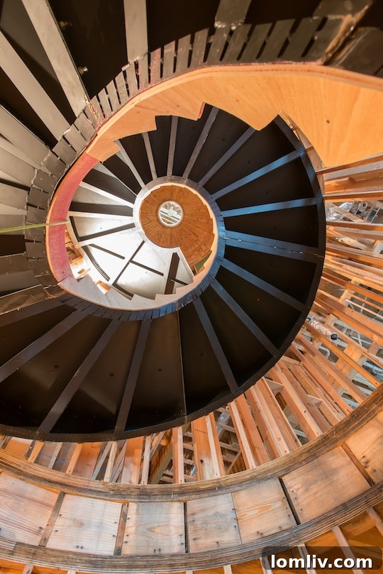Framed dome structure beneath a spiral staircase in a custom Bella home