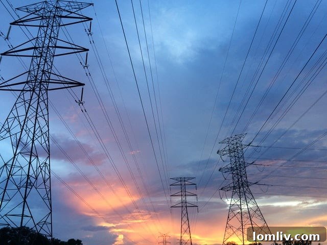 Texas Power Grid Challenges and Solutions