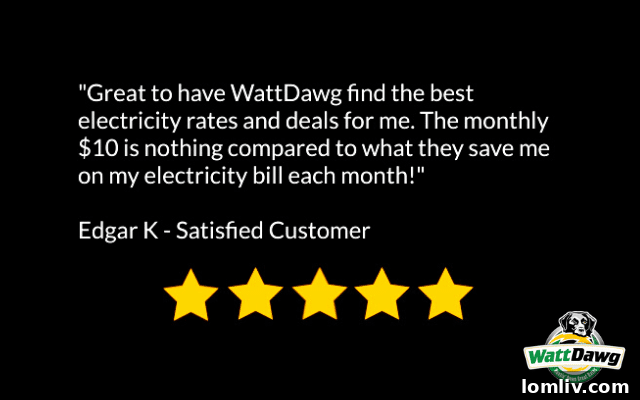 Customer Testimonial 2 - Electricity Bill Reduction