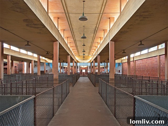 The historic Swine Building at Fair Park Dallas