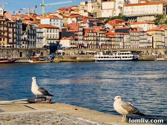 Striking modern home facade with large windows and clean lines by Chris Sandlin