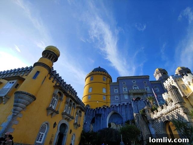 Lush green landscape and contemporary design of a Dallas luxury property