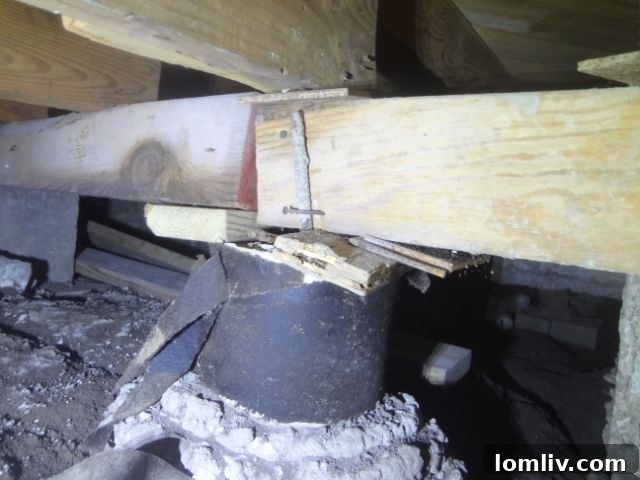 A close-up view of hanging termite tubes in a crawl space.