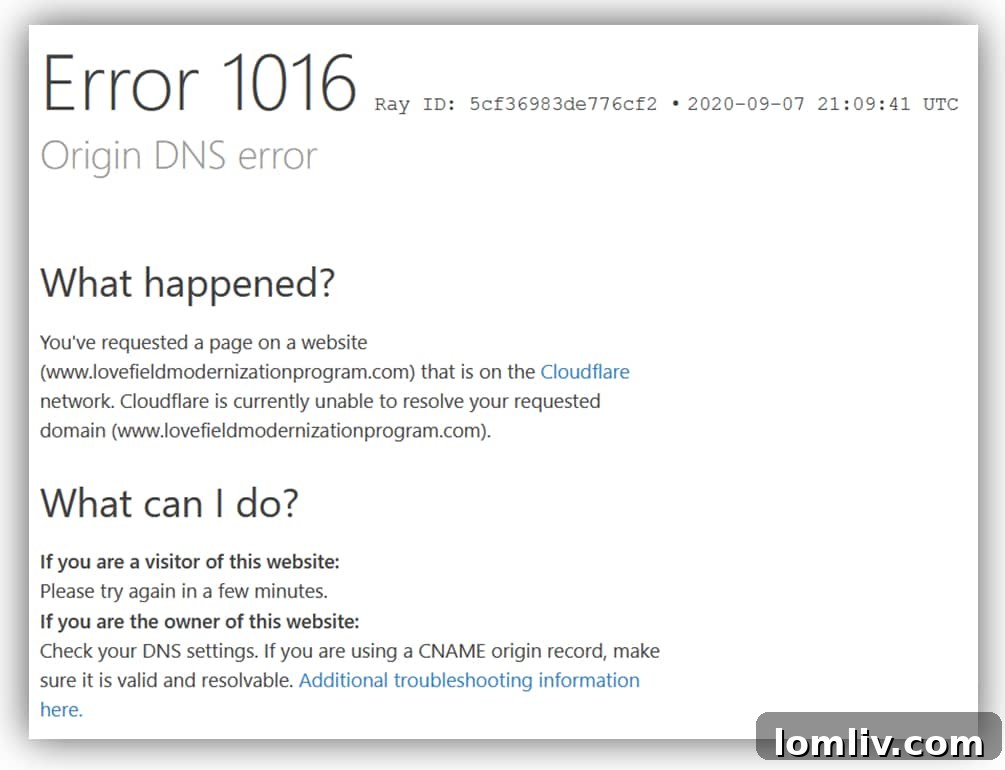Love Field Modernization Program Error