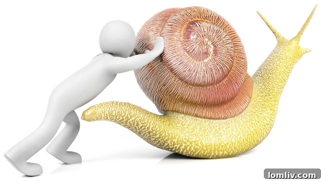 Love Field Future Planning