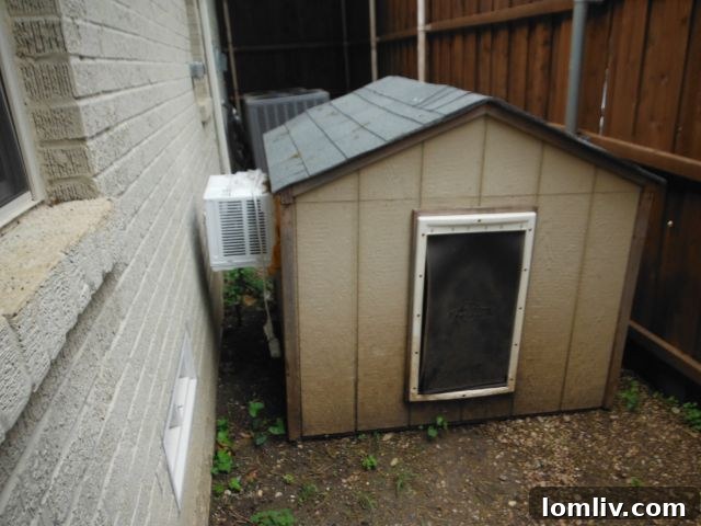 Home Inspection Bloopers 2 doggie-ac