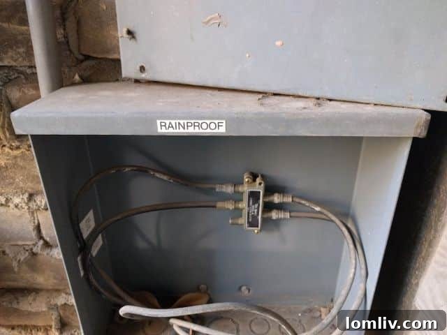 Home Inspection Bloopers 4 doggie-ac