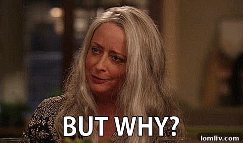 Close-up of The Bubble House's unique, rounded exterior walls