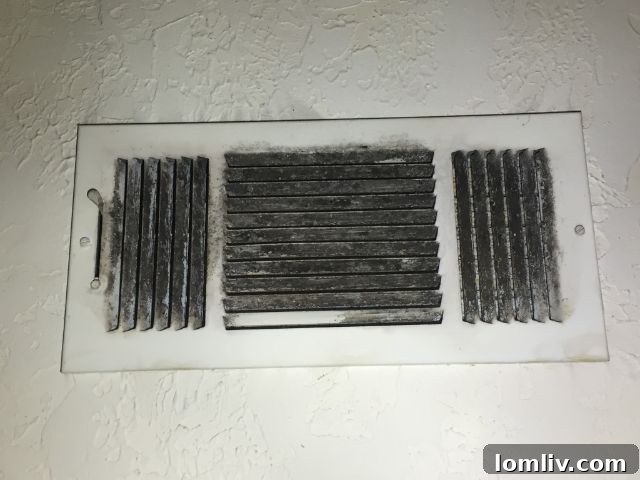 Moldy vent in a home for sale