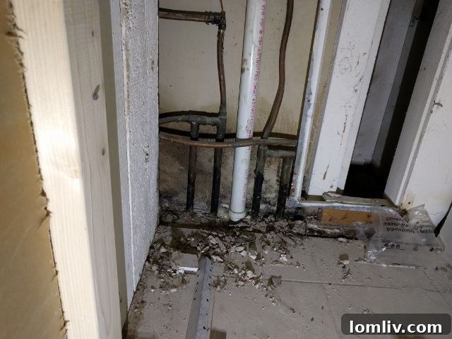 Severe mold growth inside a vent system