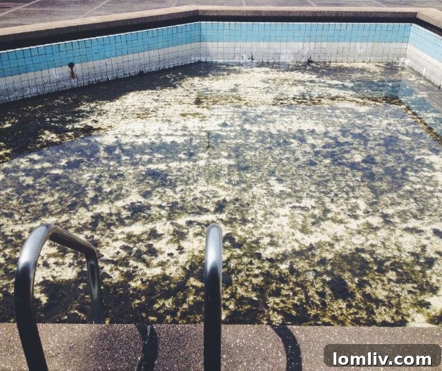 Severely neglected and dirty swimming pool