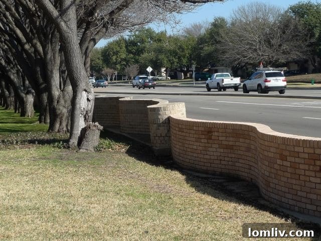 Pink Wall Elegance An Exclusive Open House Unveiling 3 6234-Bandera