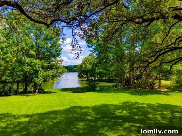 Lake Austin Views from Home