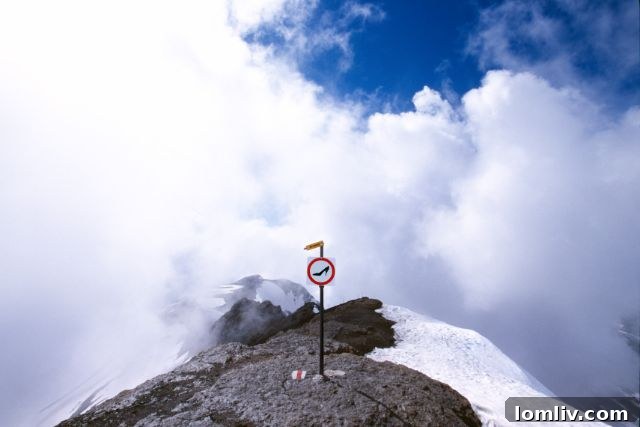 A human hand gently holds a dried mesquite seed pod, highlighting the intricate natural textures and a sense of connection to nature.