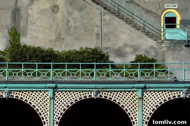 A close-up shot of dry mesquite leaves and twigs scattered on the ground, emphasizing natural textures and earthy tones.
