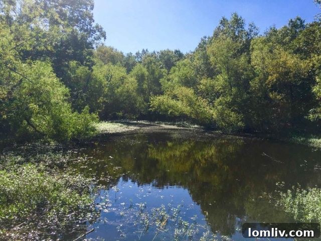 Expansive Daphne Prairie Ranch: A Premier Texas Real Estate Opportunity