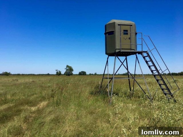 Scenic Vistas and Recreational Fun at Daphne Prairie