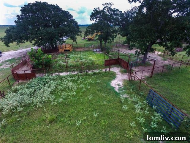 Rich Soil and Timber Resources on Daphne Prairie