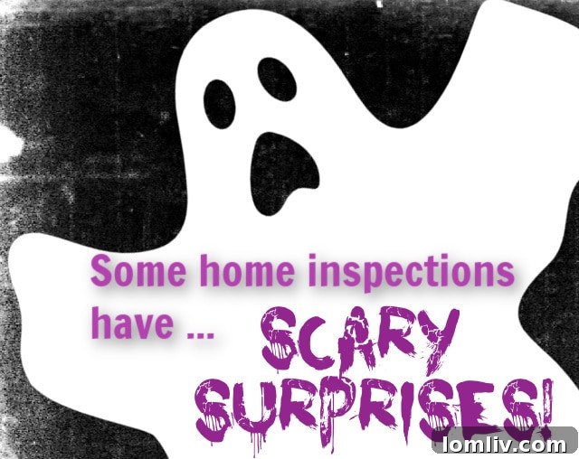 Professional home inspector preparing to enter a dark, confined crawl space with a flashlight, highlighting hidden dangers.