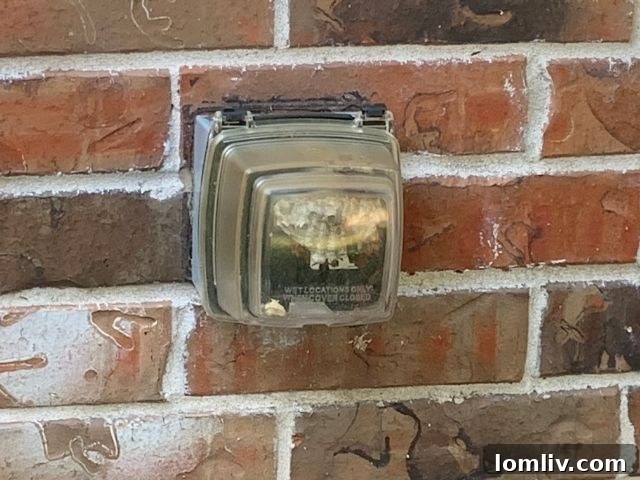 Close-up of a large, menacing spider or insect found during a home inspection, highlighting pest concerns.