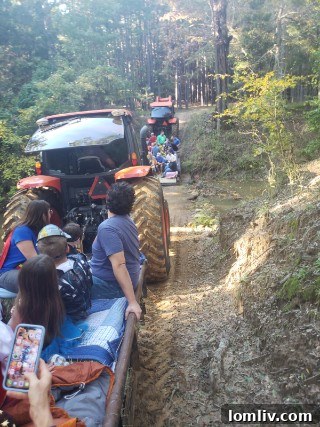 Intimate Halloween: Where Cozy Meets Creepy 4 5683e020-f9a1-4ba7-9c11-d1caef518fc5