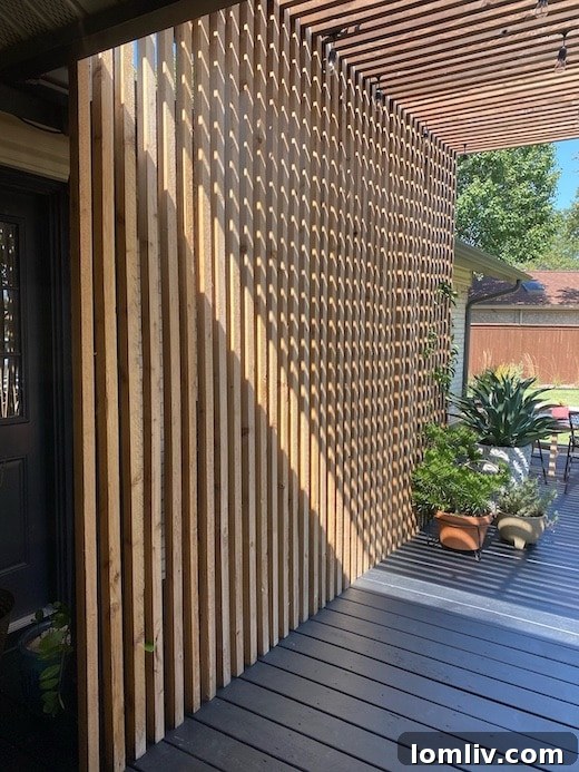 Four Corners Brewing Product Designer Showcases Farmers Branch Gem 12 Shadow Art Created by Deck Slat Wall