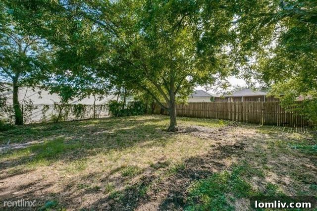 Expansive backyard with mature trees, offering great outdoor potential for the North Oak Cliff 'steal' property.