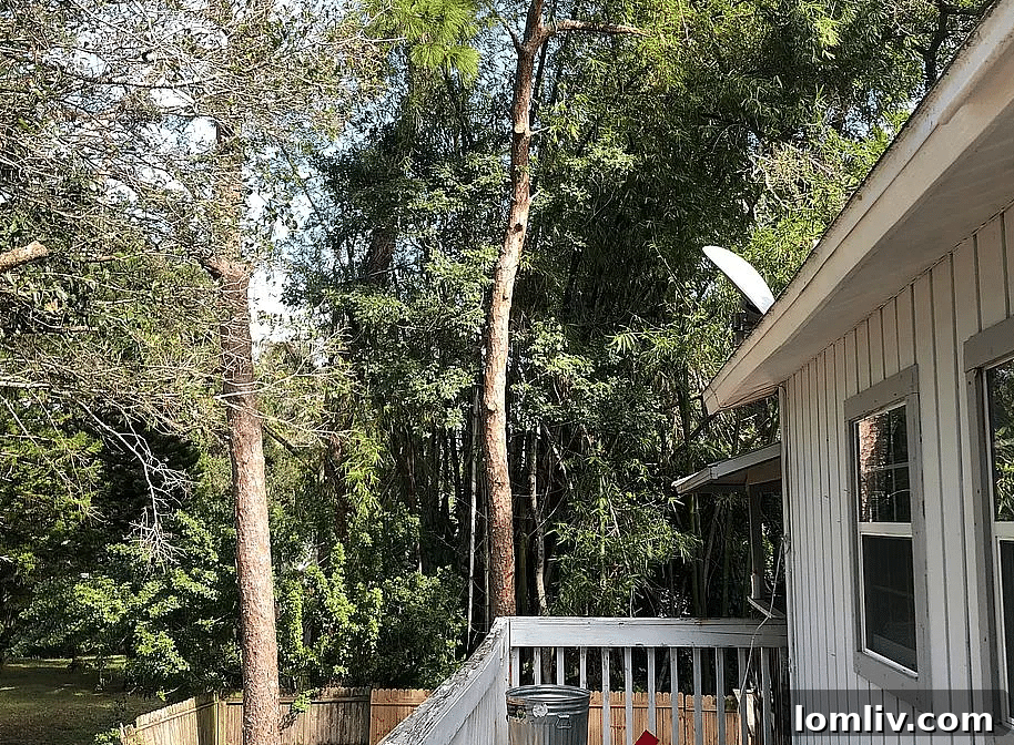 Pinellas Park Florida Real Estate: Overlooked Gems and Common Listing Blunders