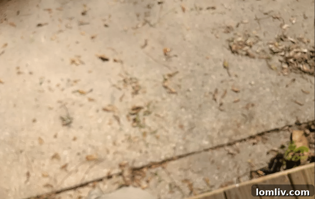 Unprofessional Listing Photo Featuring Debris