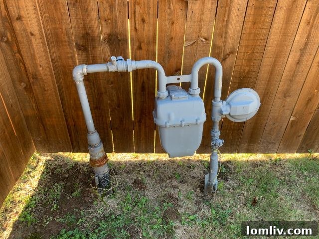 A gas meter improperly installed, facing directly towards a wooden fence, making it inaccessible for maintenance.