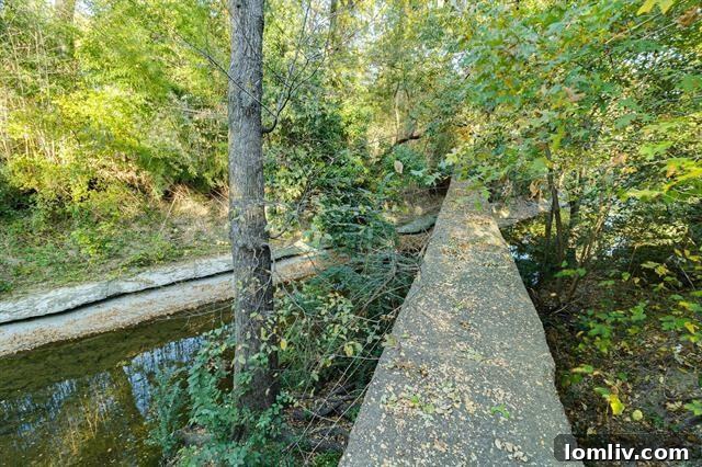 548c1f5732f32500ef0e5cda102ab46dl-m2177596110od-w1024_h768