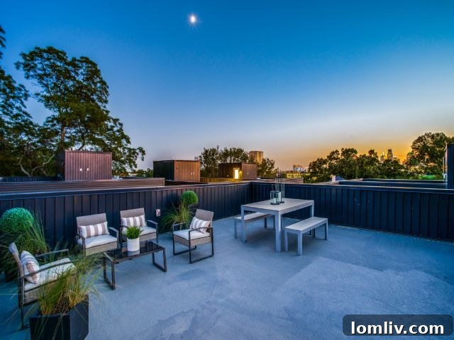 Dinsmore Court Rooftop Patio with Dallas Skyline View