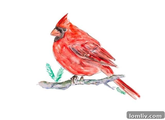 Cardinal bird holiday design, a consistent best-seller for Taylor Paladino