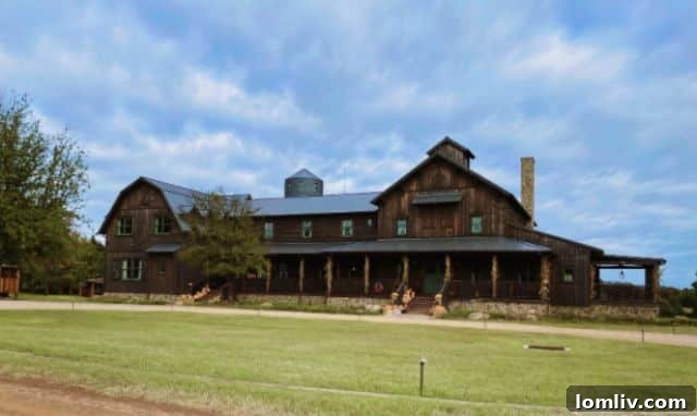 Nature-Inspired Home Design by Sarah Zubiate