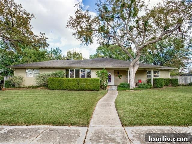 Unlock Park Forest Living Under $400,000 2 3683 Coral Gables: A Mid-Century Ranch Transformed with Contemporary Flair in Dallas's Park Forest