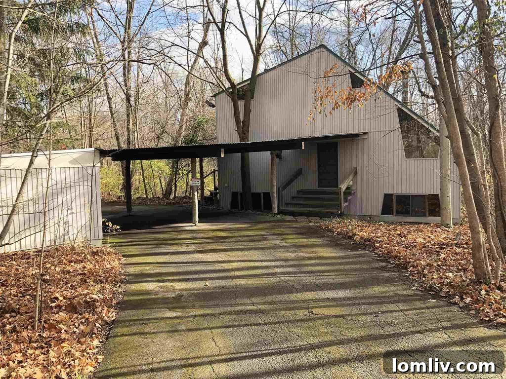 The striking architectural windows of the Fort Wayne Sherbondy home
