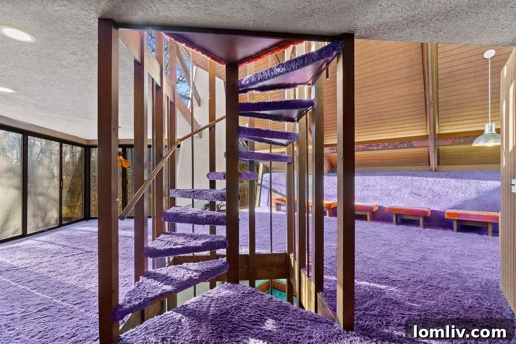 Purple carpet extending into a bedroom or private space