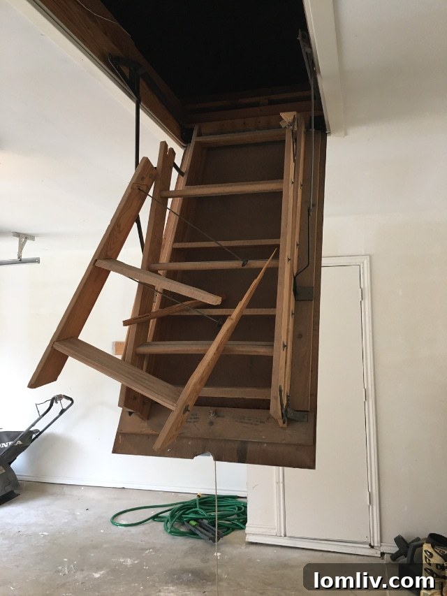 Dangerous Attic Ladder - Blank-640-x-480-1