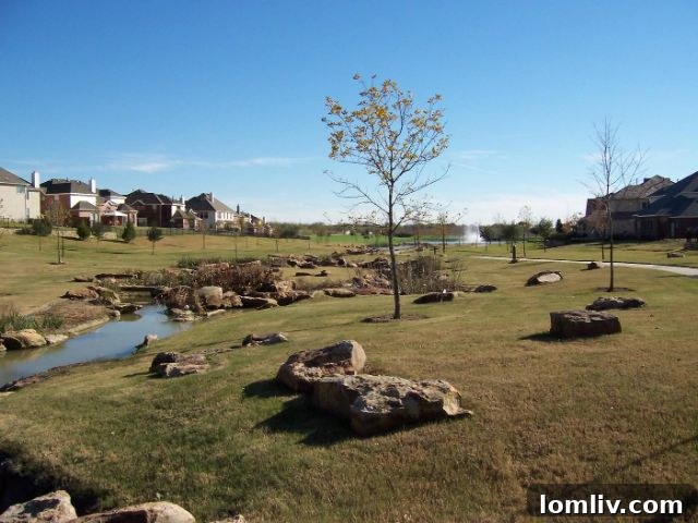 Lone Star Ranch in Frisco