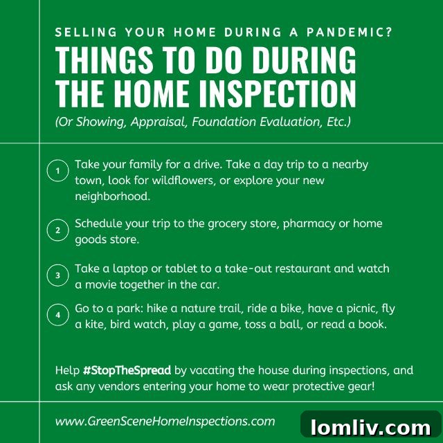 Green-Scene-Inspector