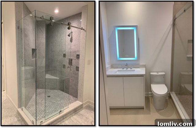 Luxury Master Shower and Guest Bathroom Design