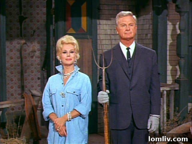 Urban dwellers not leaving city life for farm living, contrasting Green Acres sitcom